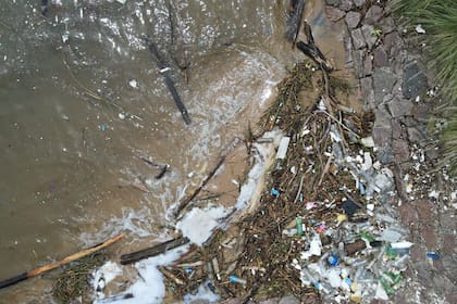 Residuos flotantes en la costa del Río de la Plata
