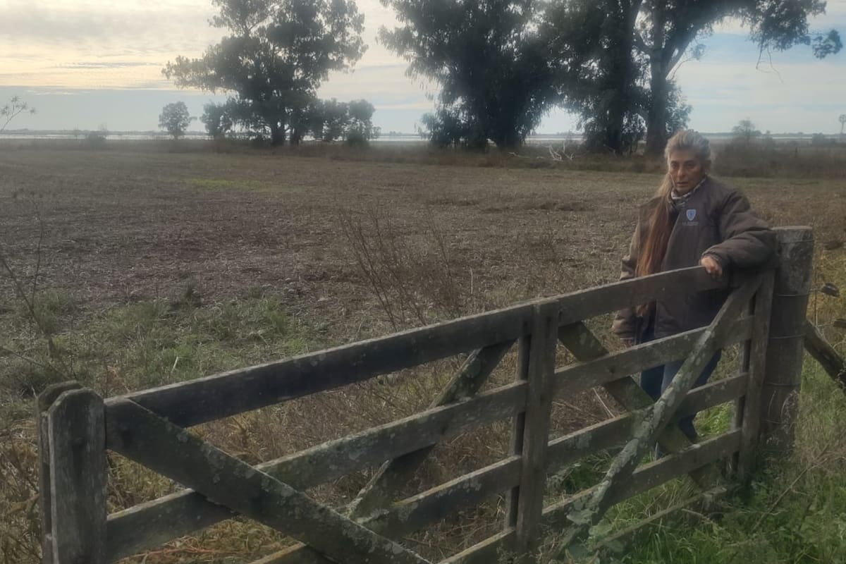 “Resiliencia es la capacidad de reponerse a las adversidades. ¿De qué forma uno puede reponerse a esto? Hace cuatro meses atrás esto era un fuego abrazado por la sequía. Hoy, por la falta de obras de infraestructura", enfatizó Cagnone