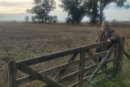 “Resiliencia es la capacidad de reponerse a las adversidades. ¿De qué forma uno puede reponerse a esto? Hace cuatro meses atrás esto era un fuego abrazado por la sequía. Hoy, por la falta de obras de infraestructura", enfatizó Cagnone