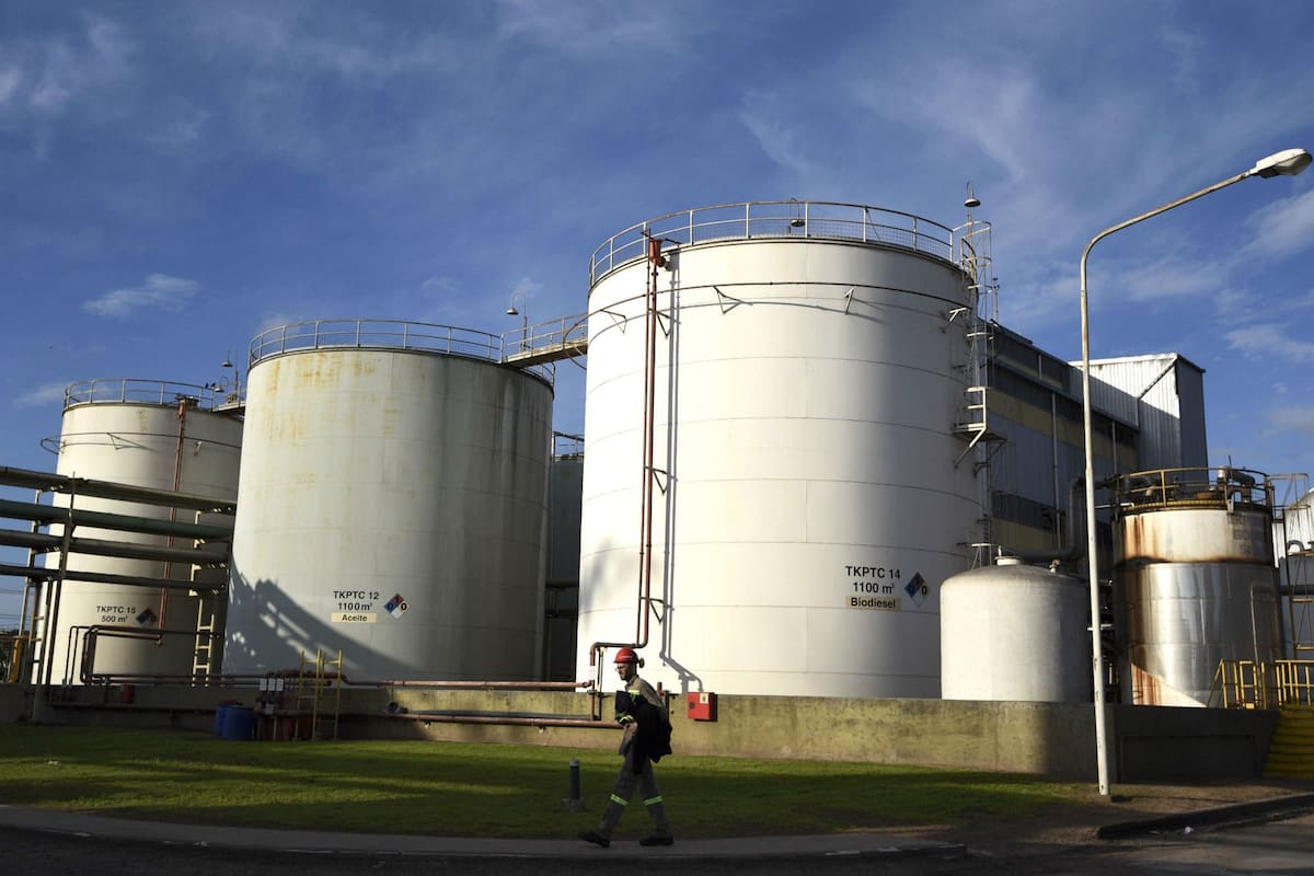 Respecto del 2022, la producción de biodiésel caerá 37% en la producción y 67% “como mínimo” de exportaciones