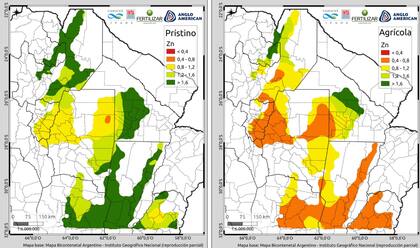 Respecto del Zn, las zonas con potencial problema de deficiencia fueron el este de Tucumán, la región central de Santiago del Estero, el noreste de Córdoba, el norte de Santa Fe y el norte de Entre Ríos. “Es alta la probabilidad que la deficiencia de este nutriente esté incidiendo sobre la brecha de rendimiento de los cultivos”, comentó Sainz Rozas