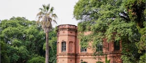 El Jardín Botánico Carlos Thays atraviesa una de las intervenciones más ambiciosas en más de un siglo