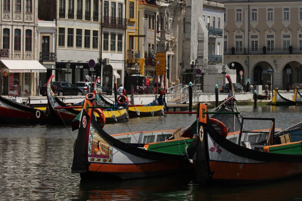 Restaurantes flotantes: platos gourmet y el arrullo del agua a pocos metros