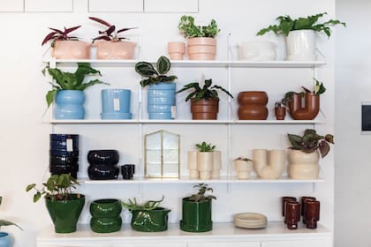 Restaurantes rodeados de verde