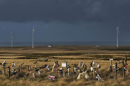 Restos del último combate en Monte Longdon, en las islas Malvinas