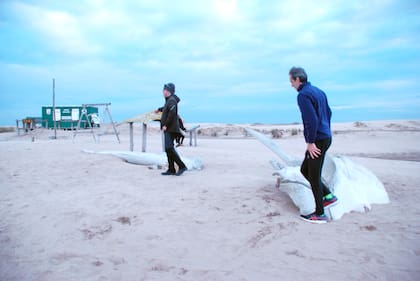 Restos óseos de ballenas, tiburones, lobos marinos y tortugas en los alrededores de la reserva