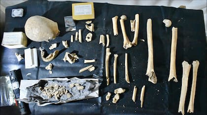 Restos óseos de Teodomiro hallados en la Catedral de Santiago de Compostela