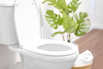 Resulta necesario bajar la tapa del inodoro antes de oprimir el botón de descarga (Foto Pexels)