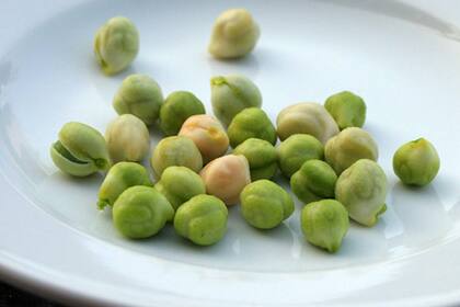 Retenciones: alertan que el garbanzo deja de ser negocio por primera vez en 4 años