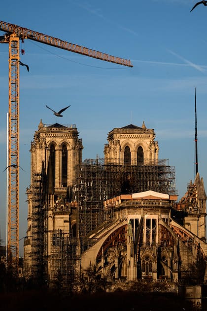 Retiran los andamios de la catedral de Notre Dame