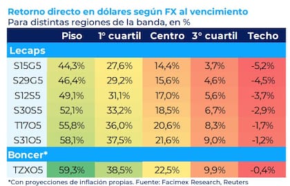 Retorno directo en dólares de los instrumentos en pesos, según el tipo de cambio al vencimiento.
Fuente: Facimex
