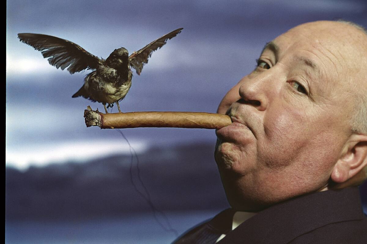 Retrato de Alfred Hitchcock para la promoción de la película The Birds, 1962