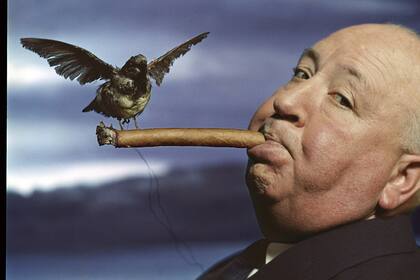 Retrato de Alfred Hitchcock para la promoción de la película The Birds, 1962