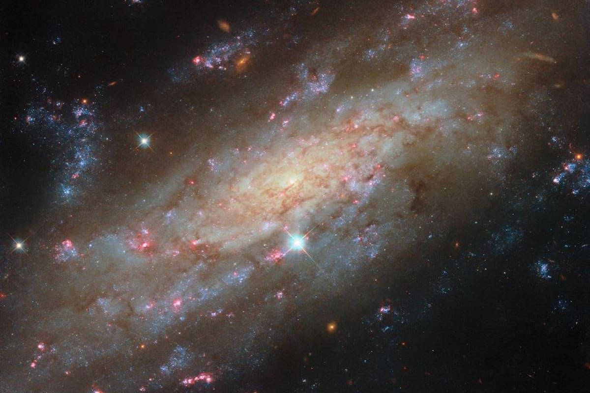 Retrato de una galaxia espiral: la NASA difundió esta imagen inédita de NGC 3137