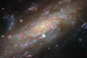 Retrato de una galaxia espiral: la NASA difundió esta imagen inédita de NGC 3137