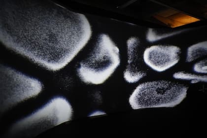 Retratos de un grano de plata realizados con un microscopio electrónico de la UBA