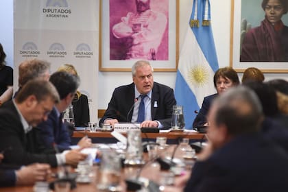 Reunión de la Comisión de Educación con el ministro Pereczyk