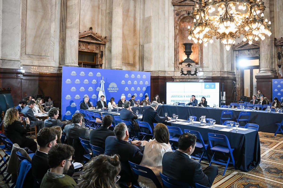 Reunión plenaria de las comisiones de Justicia y Asuntos Penales y de Presupuesto y Hacienda, en el salón Azul del Senado de la Nación; el 2 de septiembre de 2026