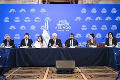 Reunión plenaria de las comisiones de Justicia y Asuntos Penales y de Presupuesto y Hacienda, en el salón Azul del Senado