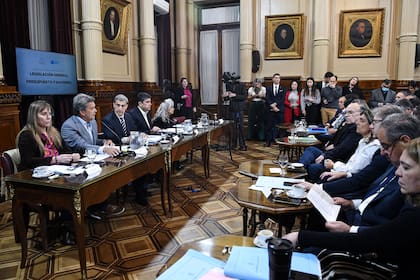 Reunión plenaria de las  comisiones de Legislación General y de Presupuesto y Hacienda, el 7 de septiembre de 2023, en el Salón Illia del Senado de la Nación