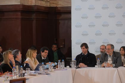 Reunión plenaria de las comisiones de Legislación General, de Presupuesto y Hacienda y de Asuntos Constitucionales, en el Senado
