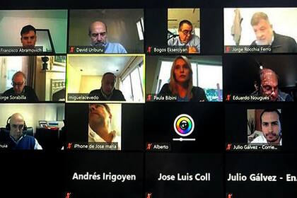Reunión virtual de los miembros de UNINOA