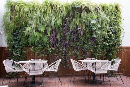 Revista Jardín