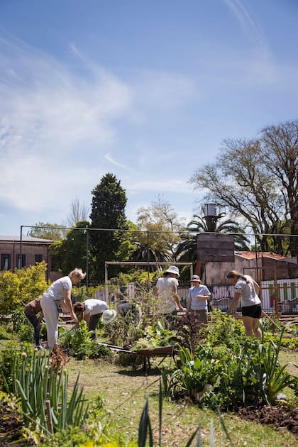 Revista Jardín