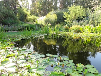Revista Jardín