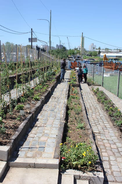 Revista Jardín