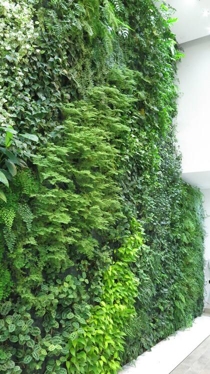 Revista Jardín