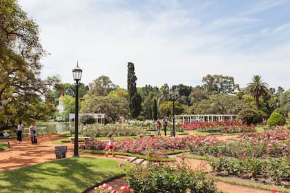 Revista Jardín