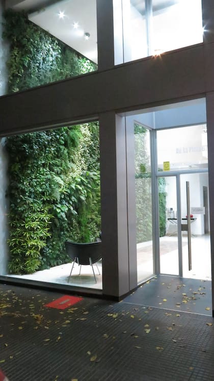 Revista Jardín