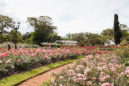 Revista Jardín