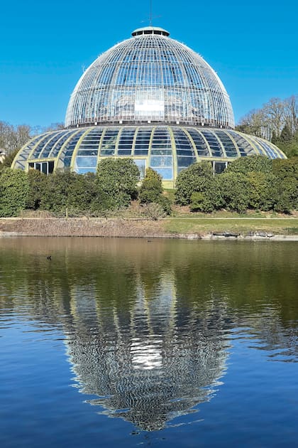 Desde el punto de vista arquitectónico y botánico, los invernaderos tienen un gran valor histórico. El Palacio de Cristal alberga una de las colecciones de flores y plantas más valiosas del mundo. Durante tres semanas al año, los jardines e invernaderos están abiertos al público