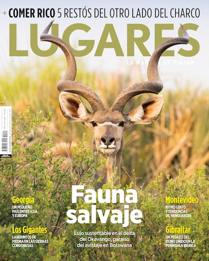 Revista Lugares 359. Marzo 2026.