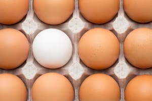 ¿Revuelto, frito o cocido? Esta es la forma ideal de comer el huevo para aprovechar todos sus beneficios