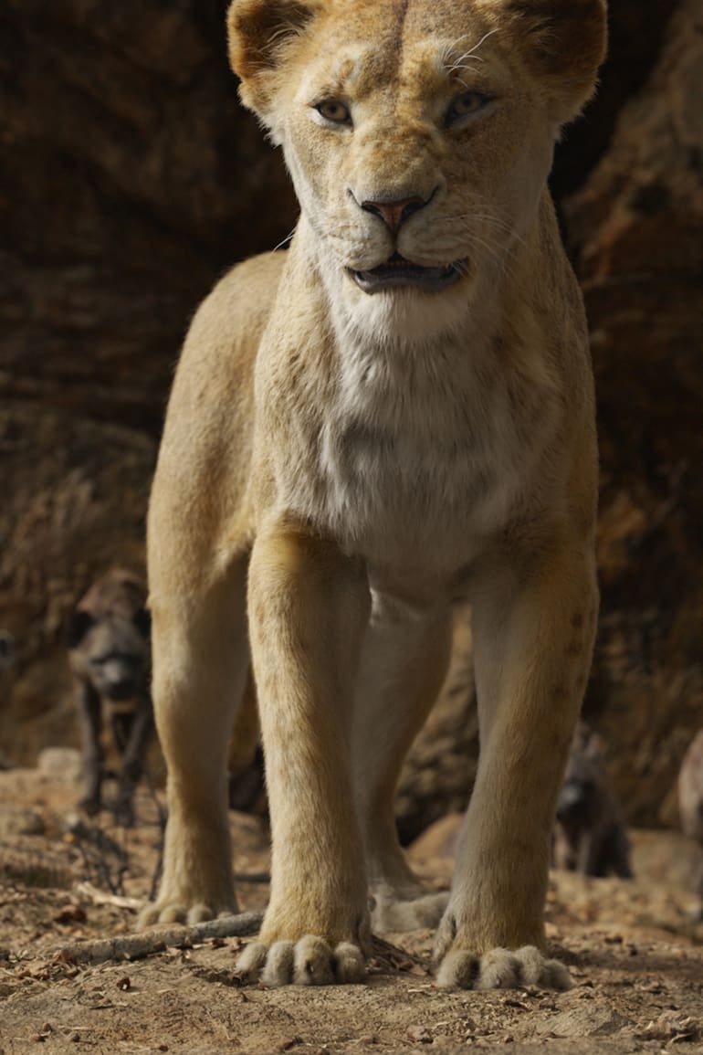 El Rey Leon
