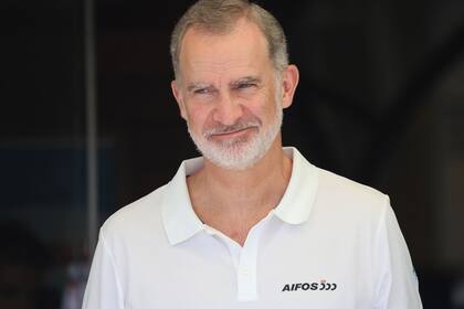 Rey recibe a los embajadores de los países que ayudaron a España en la extinción de los incendios fo