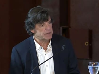 Ricardo Biasotti habló ante el Senado de la Nación