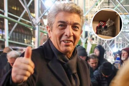 Ricardo Darín ayudó a salvar a una gatita