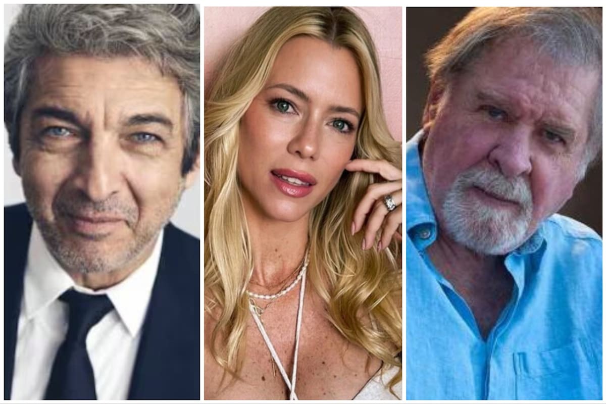 Ricardo Darín, Nicole Neumann y Arturo Puig fueron algunos de los famosos argentinos que se animaron al canto