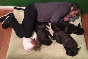 Ricardo Darín y su hija Clara despidieron a su perro Ronko