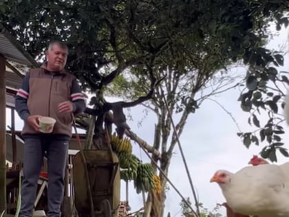 Ricardo es quien alimenta a las gallinas