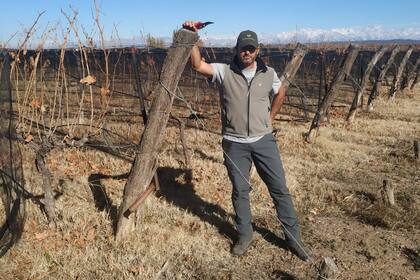 Ricardo García apuesta a los vinos biodinámicos