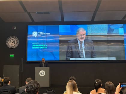 Ricardo Marra, presidente de la Bolsa de Cereales de Buenos Aires