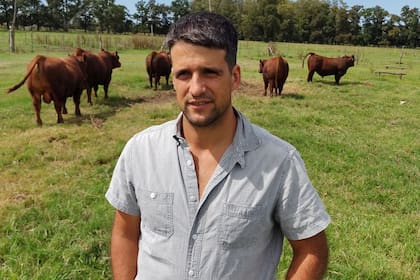 Ricardo Orazi: "En total son 6000 hectáreas con características específicas, pero en todos los campos tenemos como objetivo desarrollar reproductores o producción comercial de carne en condiciones pastoriles, adaptadas a la región de la Cuenca del Salado de la provincia de Buenos Aires”