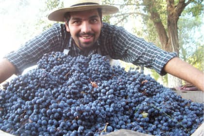 Ricardo Tello empezó con su hermano Farid desde chico produciendo vinos