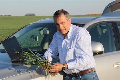 Ricardo Yapur, presidente de Rizobacter