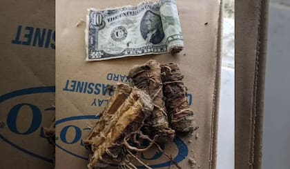 Rich Gilson descubrió un total de U$S 2.000 dólares en su casa de Wildwood
